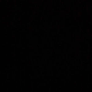 Meet your Posher, Charlotte